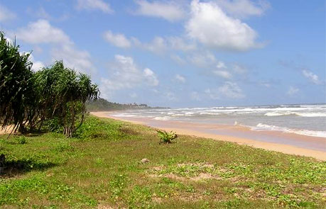 Пляж 2