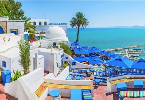 ТУНИС ИЗ МИНСКА! 2020