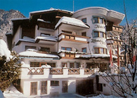 Отель Zillertalerhof