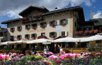 Отель Alpina