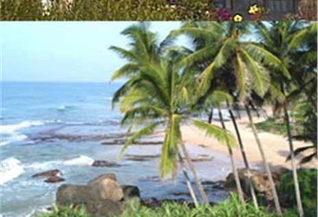 УДИВИТЕЛЬНАЯ ШРИ ЛАНКА 2025